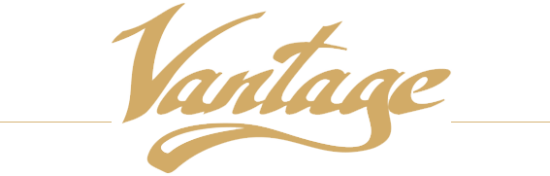 Петли скрытые VANТAGE